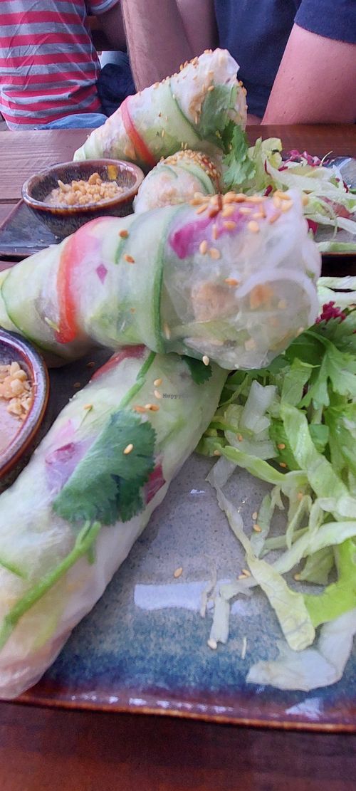  at Vegan Living in Magdeburg