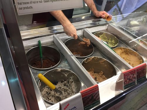 Vegan gelato flavours (all 6 on the left) at Casa del Gelato in Carlton
