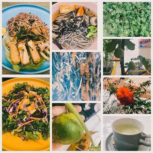 collage of food and nature at Loving Hut Diệp Lâm Vegan in Ho Chi Minh City