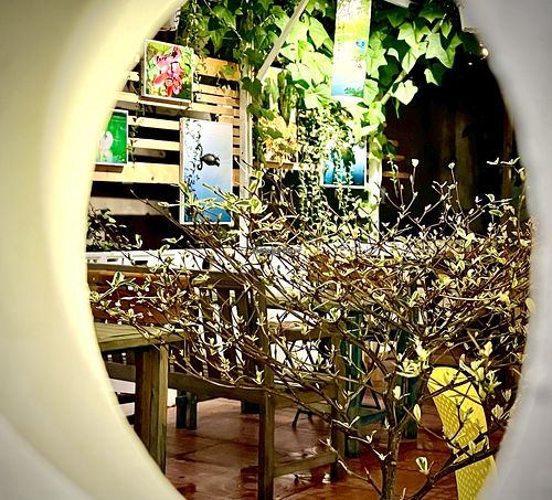 point of view from tiny spot  at Loving Hut Diệp Lâm Vegan in Ho Chi Minh City