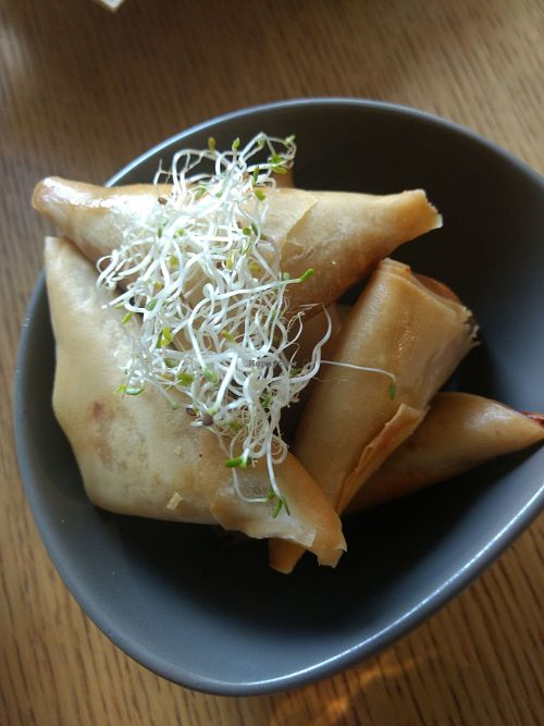 Samosa at Real Food 真食 - Orchard in Central Singapore