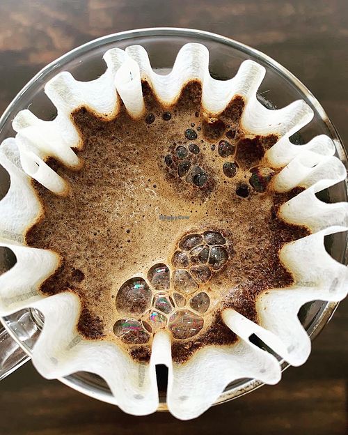  at Green Wall Coffee in Berlin