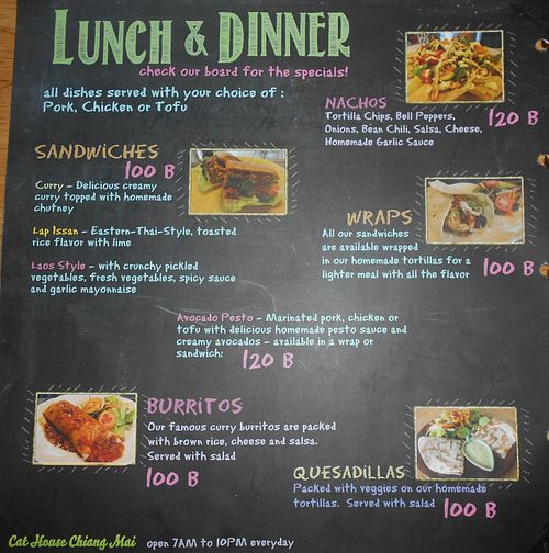 Cat House  at Cat House in Chiang Mai