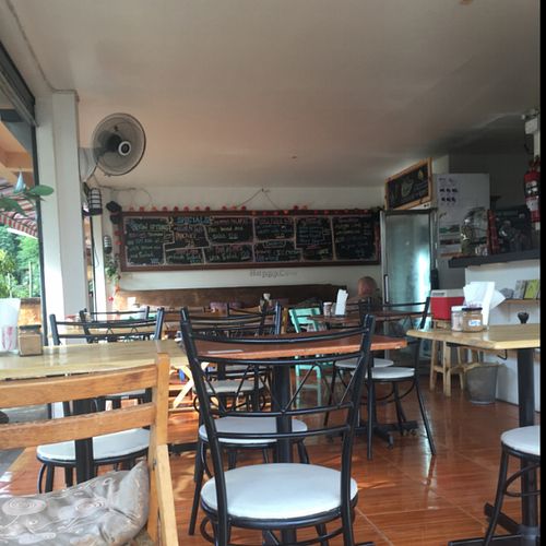 cathouse  at Cat House in Chiang Mai