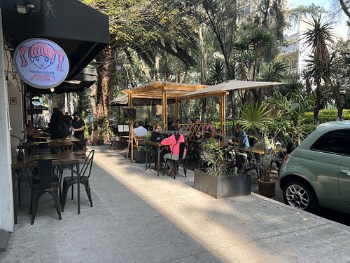 Beautiful patio  at Vegan Ramen Mei - Condesa in Mexico City