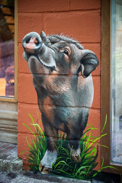  at Feathery Forest in Maarkedal