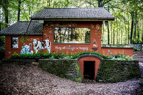  at Feathery Forest in Maarkedal