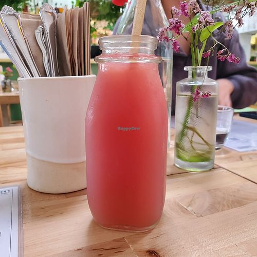  at Butcher's Daughter in West Hollywood