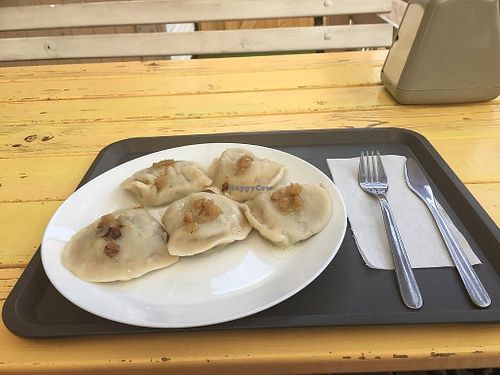 Pierogi z kapustą i grzybami at Bistro Młyn in Miedzywodzie
