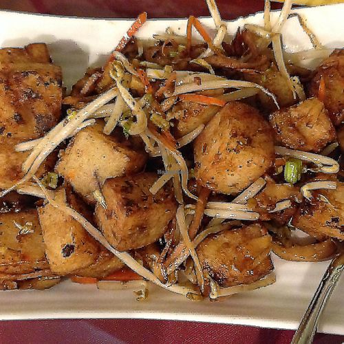 Fried Turnip Cakes at Bodhi Village in Flushing