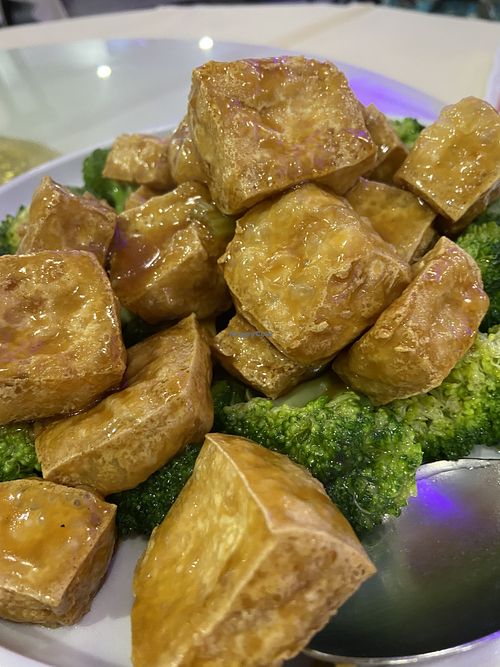   at Bodhi Village in Flushing