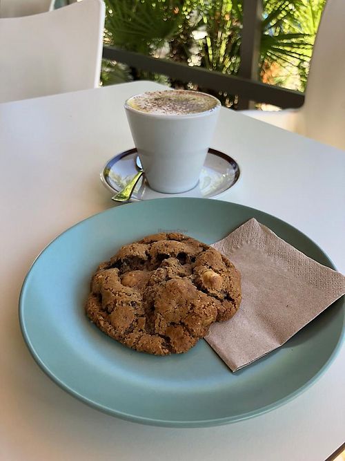 Cookie   at La Vida in Denia