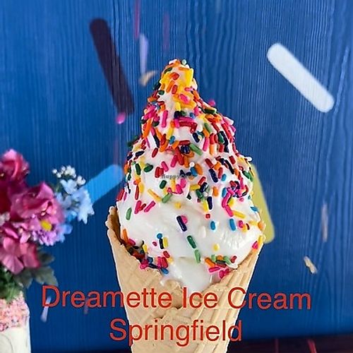 Dreamette Ice Cream Springfield Jacksonville Florida Ice Cream