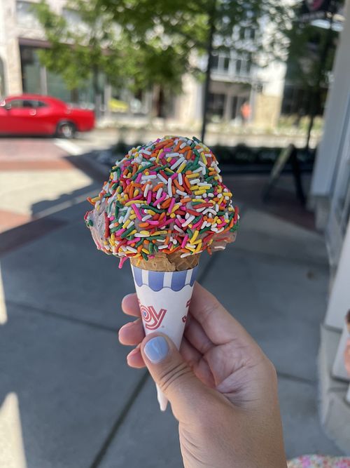 vegan oreo  at J.P. Licks in Dedham