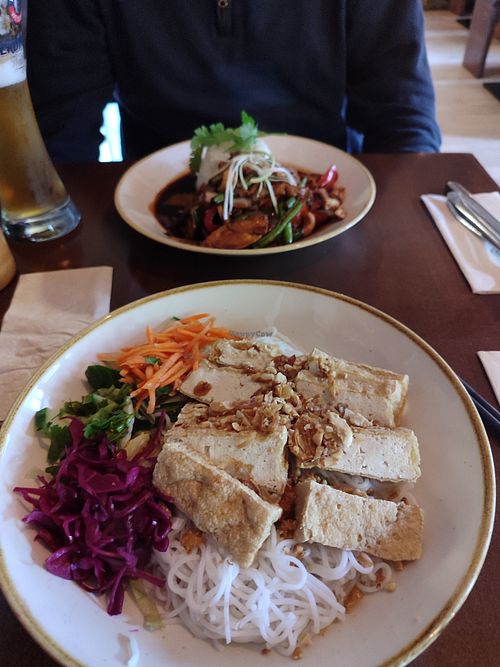 Mit Tofu statt Frühlingsrollen at LU Vietnamese Cuisine in Cologne
