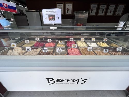 16 flavours of vegan icecream at Berry’s.   at Berry's - Charco in Tenerife