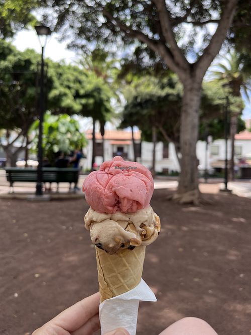 Snickers and Strawberry-Banana  at Berry's - Charco in Tenerife