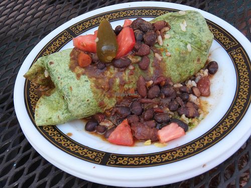 Vegan Chili Burrito  at Lost Coast Cafe in Ferndale