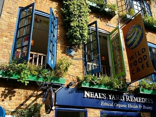 view of windows at Wild Food Cafe in London