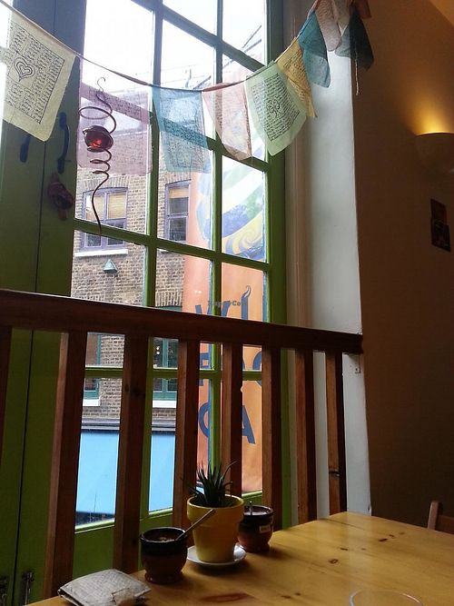 Wild food cafe at Wild Food Cafe in London