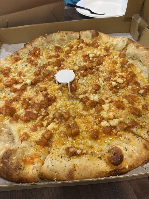   at Squatcho's in Rochester