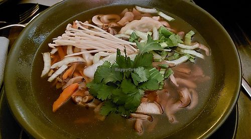  at Janssen in Chemnitz