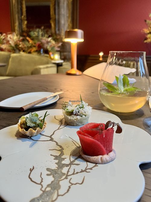 Image of WildN - Antwerp