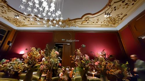 Interior at WildN - Antwerp in Antwerpen