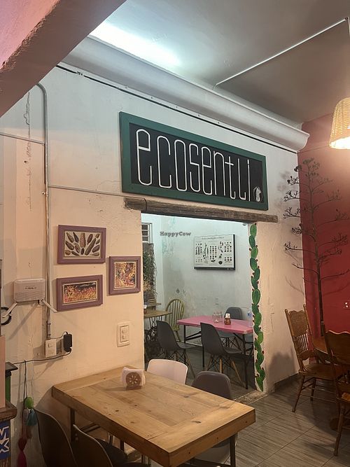   at Ecosentli in Mexico City