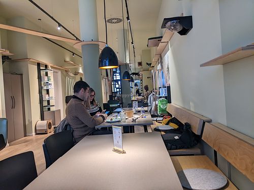 Cafe at Katzentempel - Hamburg in Hamburg