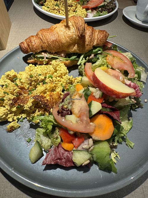   at Katzentempel - Hamburg in Hamburg