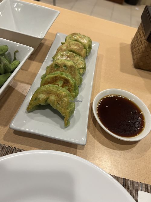 gyoza  at Hama Japanese Cuisine in Boracay