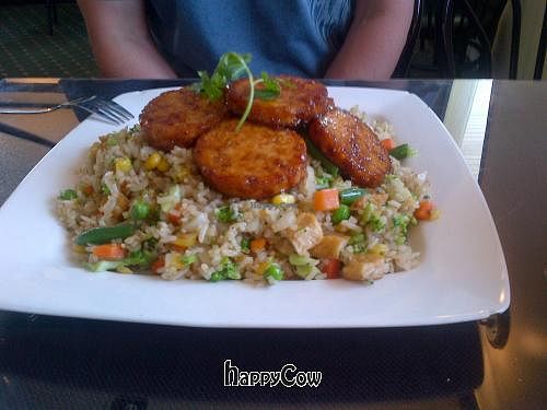 Roasted 'chicken' over fried rice. at Lotus Vegan Restaurant in Pinellas Park