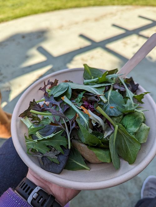 Sunfed Roast Potato bowl (comes with salad on top) at Palate Wholesome Collective in Whangarei