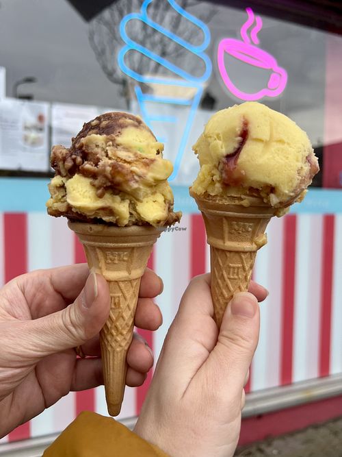Vegan chocolate and blueberry ripple ice creams   at Capaldis of Brora Big Pink Shop in Brora