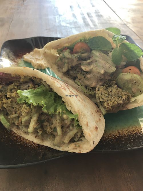 Falafel sandwich with vegan dressing  at The Fringe in Battambang
