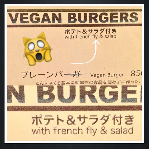 poorly written menu that tries to feed you French Flies  at Matsuontoko Cafe in Kyoto