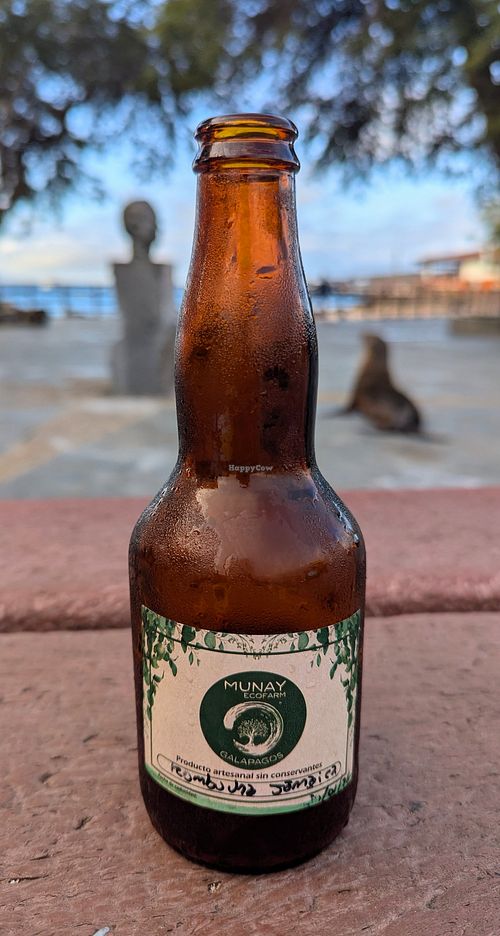  at Kachi Tanta - Galápagos in Puerto Baquerizo Moreno