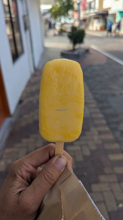  at Kachi Tanta - Galápagos in Puerto Baquerizo Moreno