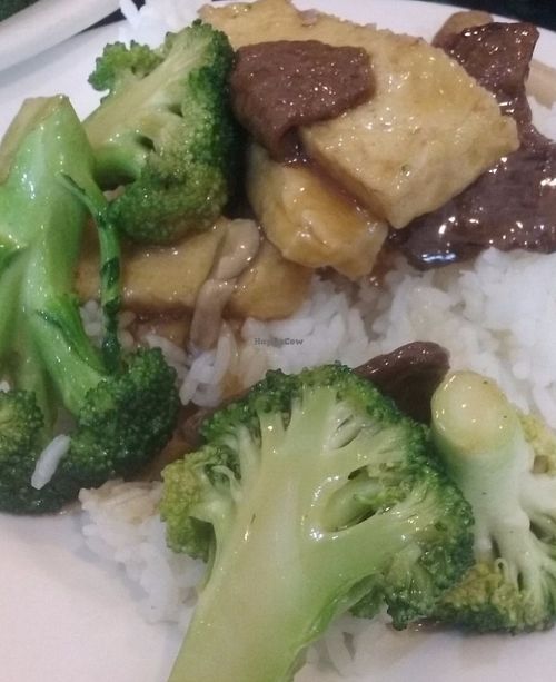 Tofu and broccoli at Quan Yin in Houston