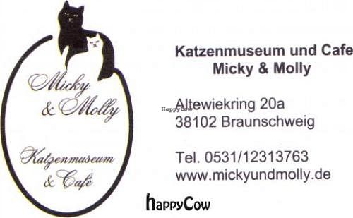  at Micky und Molly Katzenmuseum und Cafe in Braunschweig