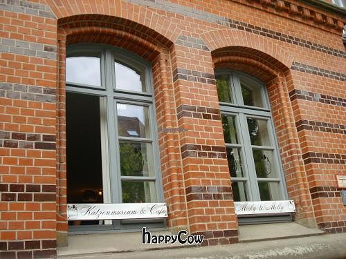  at Micky und Molly Katzenmuseum und Cafe in Braunschweig