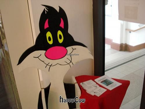  at Micky und Molly Katzenmuseum und Cafe in Braunschweig