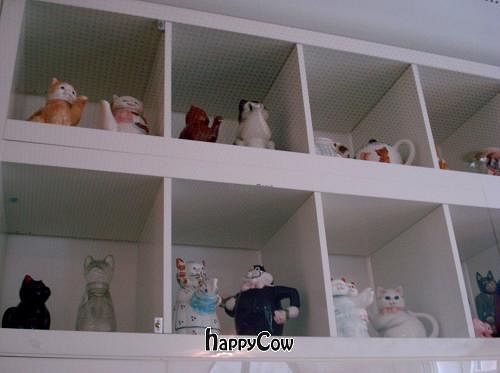  at Micky und Molly Katzenmuseum und Cafe in Braunschweig