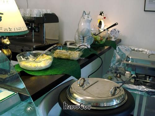  at Micky und Molly Katzenmuseum und Cafe in Braunschweig