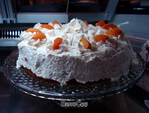  at Micky und Molly Katzenmuseum und Cafe in Braunschweig