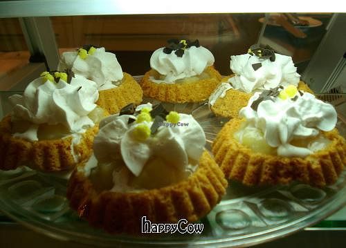  at Micky und Molly Katzenmuseum und Cafe in Braunschweig