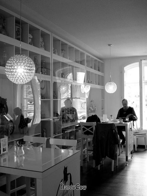  at Micky und Molly Katzenmuseum und Cafe in Braunschweig