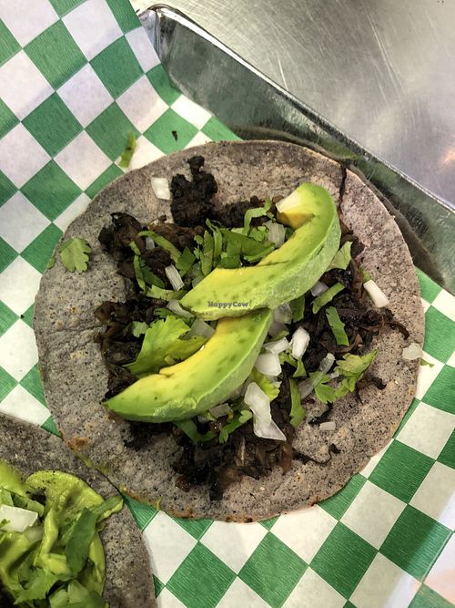 Taco de barbacoa de hongos  at Taller Veganico in Santa Catarina