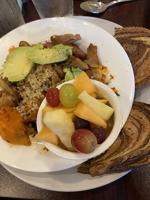 Vegan bowl with seitan  at The Cure Cafe in Stroudsburg